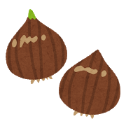 チューリップ 洗う 洗わない それぞれの保存法 グリーンらいふまとめ