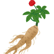 vegetable_kouraininjin