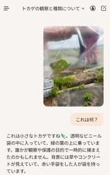 イモリつかまえた　８