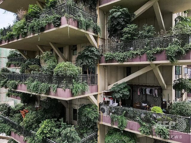 中国 緑化マンションを建てたものの 蚊の襲来で住民がほぼいなくなり早くも廃墟感が出てしまう グリーンらいふまとめ 中国 緑化マンションを建てたものの 蚊の襲来で住民がほぼいなくなり早くも廃墟感が出てしまう グリーンらいふまとめ