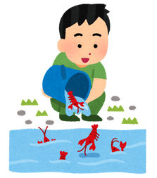 アメリカザリガニとミドリガメ、６月から野外放出禁止…ペットが逃げても３年以下の懲役か、３００万円以下の罰金 (政府)