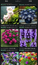ＡＩ　アジサイ画像
