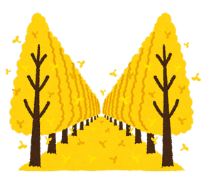 街路樹に銀杏チョイスした奴