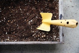 激安の土ってどうなのよ