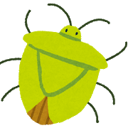 【社会】今年も「カメムシ」大量発生の可能性　過去最高数の「カメムシ」が越冬…暖冬で凍死せず