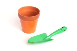 100均や300均で買った植物って植え替えてる？