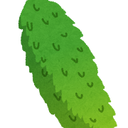 ゴーヤが本調子になってきた！