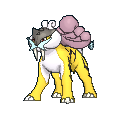 ポケモンoras 壁構築について おもに壁要員 あなたはてふてふですか 日々の雑記 ポケモンoras 壁構築について おもに壁要員 あなたはてふてふですか 日々の雑記