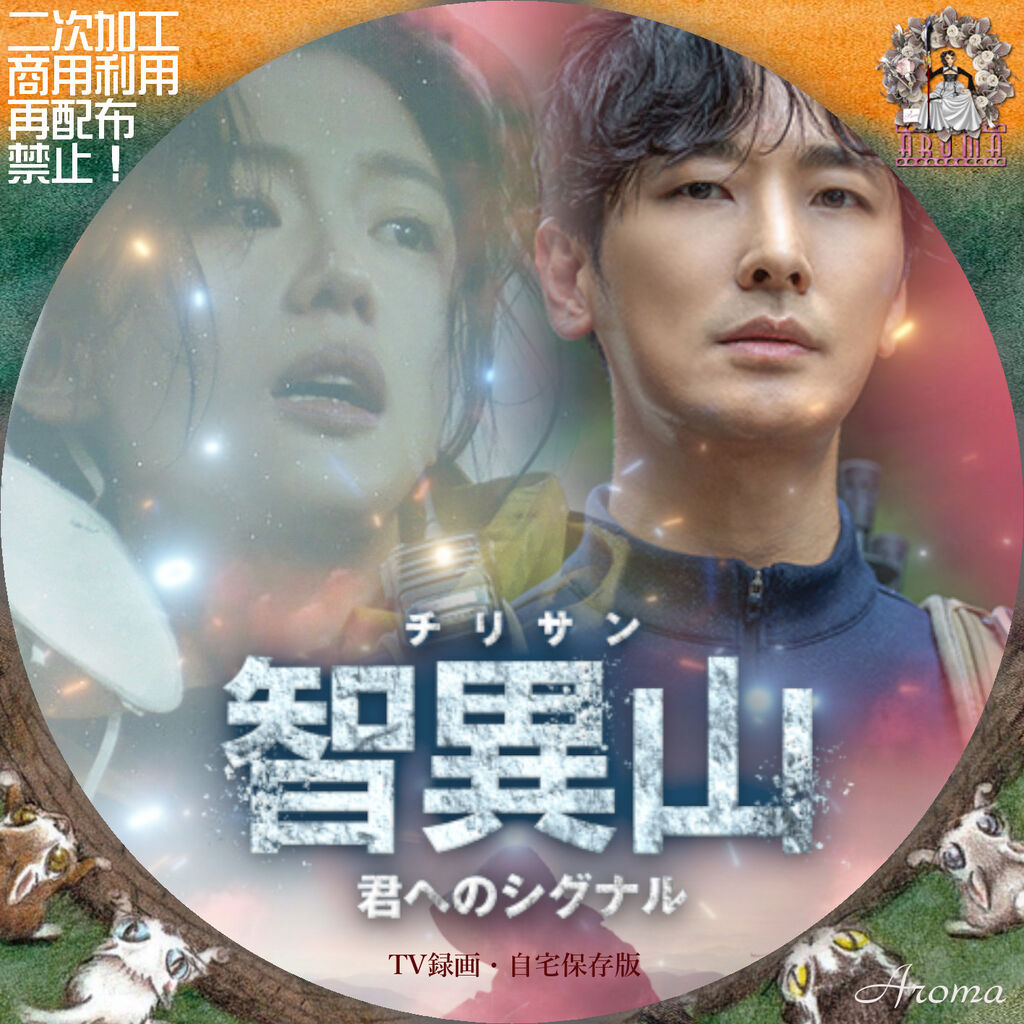 智異山＜チリサン＞～君へのシグナル～ DVD 全16巻 智異山』感想