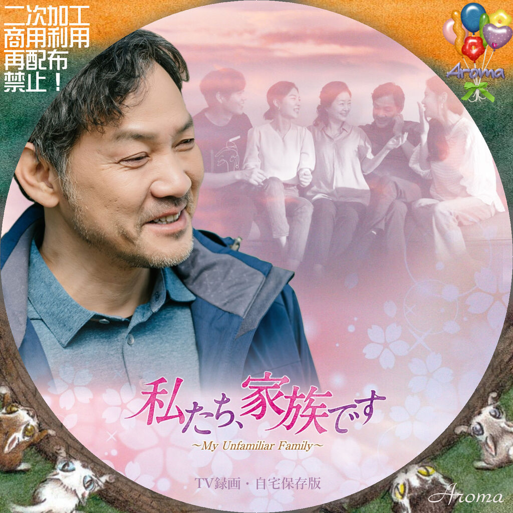 ハン・イェリ★キム・ジソク『私たち、家族です』レンタル落ちDVD★全巻 ハン・イェリ☆キム・ジソク『私たち、家族です』レンタル落ち