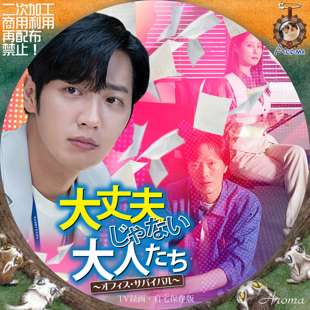 チョン・ジェヨン『大丈夫じゃない大人たち』レンタル落ちDVD★全巻 韓国ドラマ 大丈夫じゃない大人たち～オフィス・サバイバル