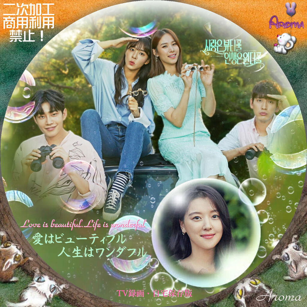 愛はビューティフル,人生はワンダフル dvd全巻セット全36巻 ソル・イナ