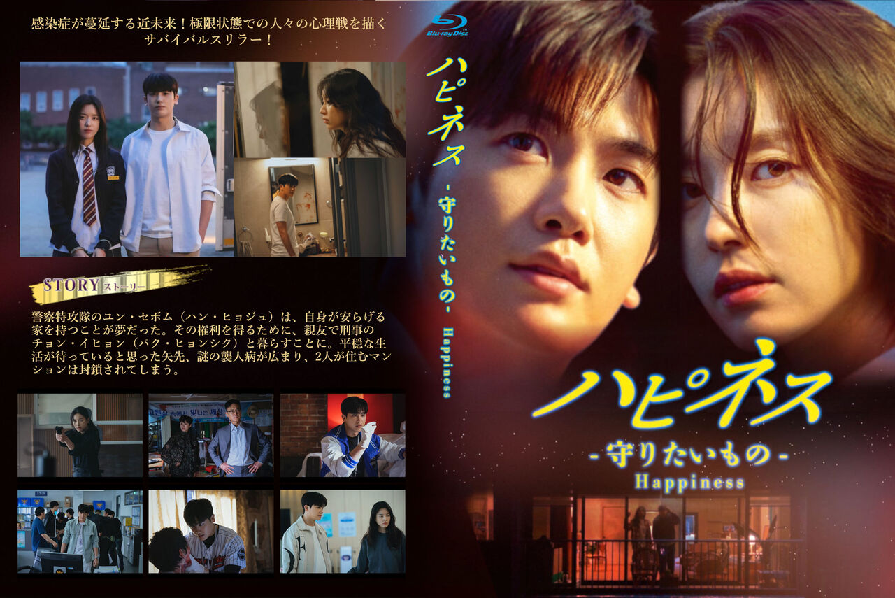 ハピネス 守りたいもの DVD 全巻 セット 韓国 ドラマ ハン・ヒョジュ