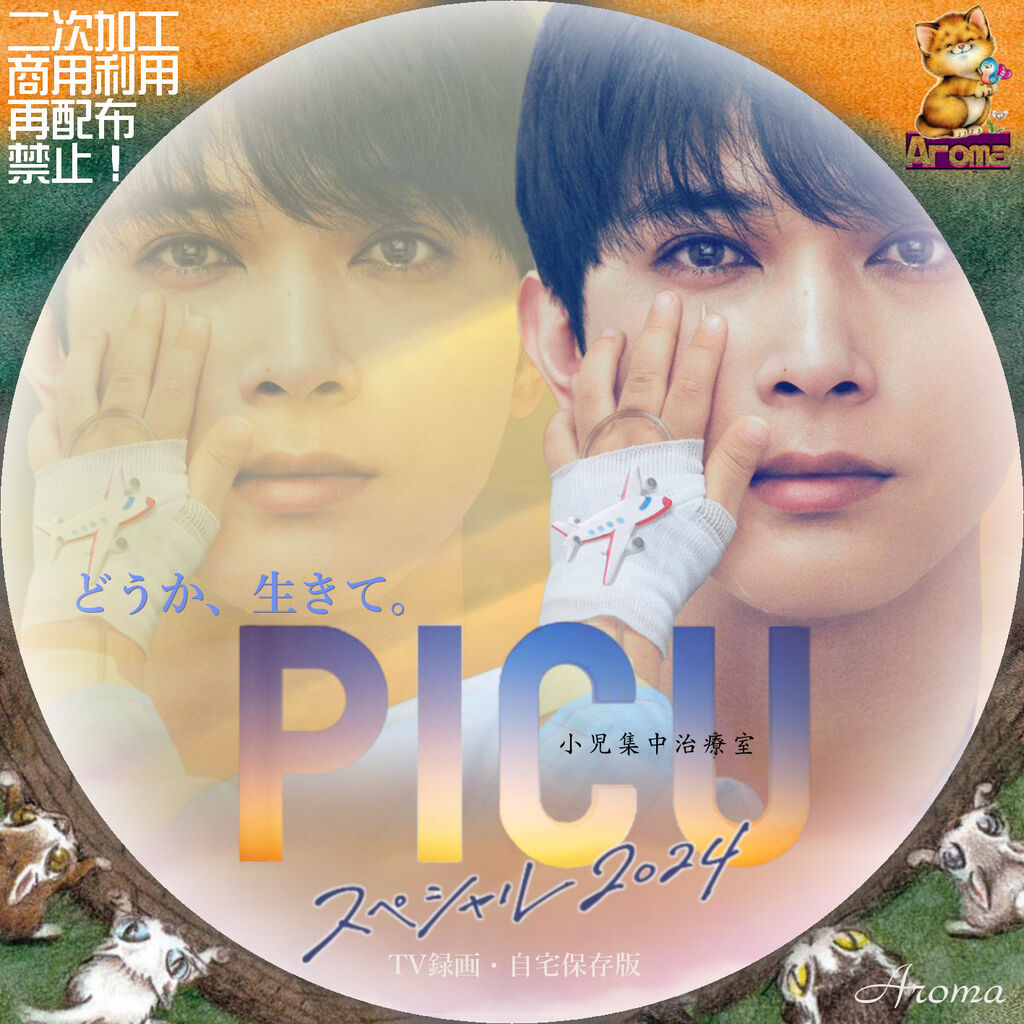 新品ケース交換済み　ＰＩＣＵ 小児集中治療室　DVD全6巻セット 新品ケース交換済み PICU 小児集中治療室 DVD全6巻セット