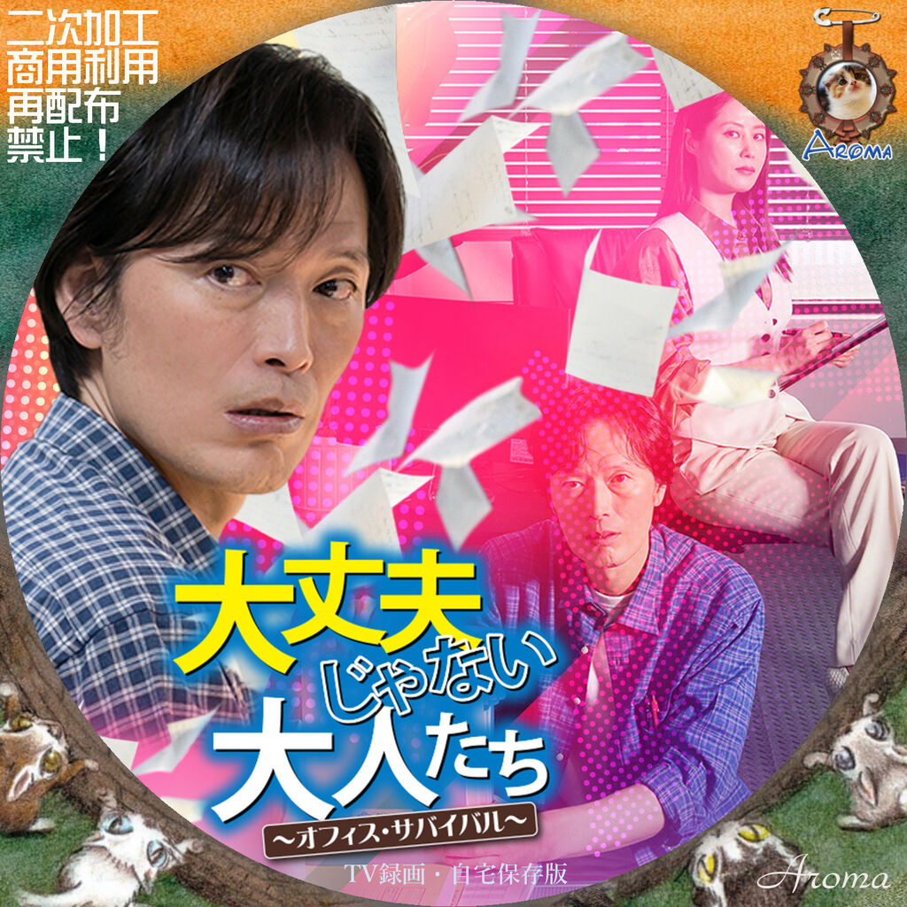 チョン・ジェヨン『大丈夫じゃない大人たち』レンタル落ちDVD★全巻 チョン・ジェヨン『大丈夫じゃない大人たち』レンタル落ちDVD