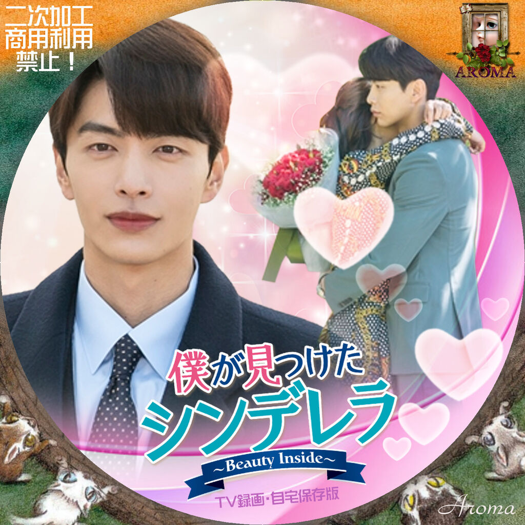 韓国ドラマ 僕が見つけたシンデレラ ～Beauty Inside～ DVD 全話