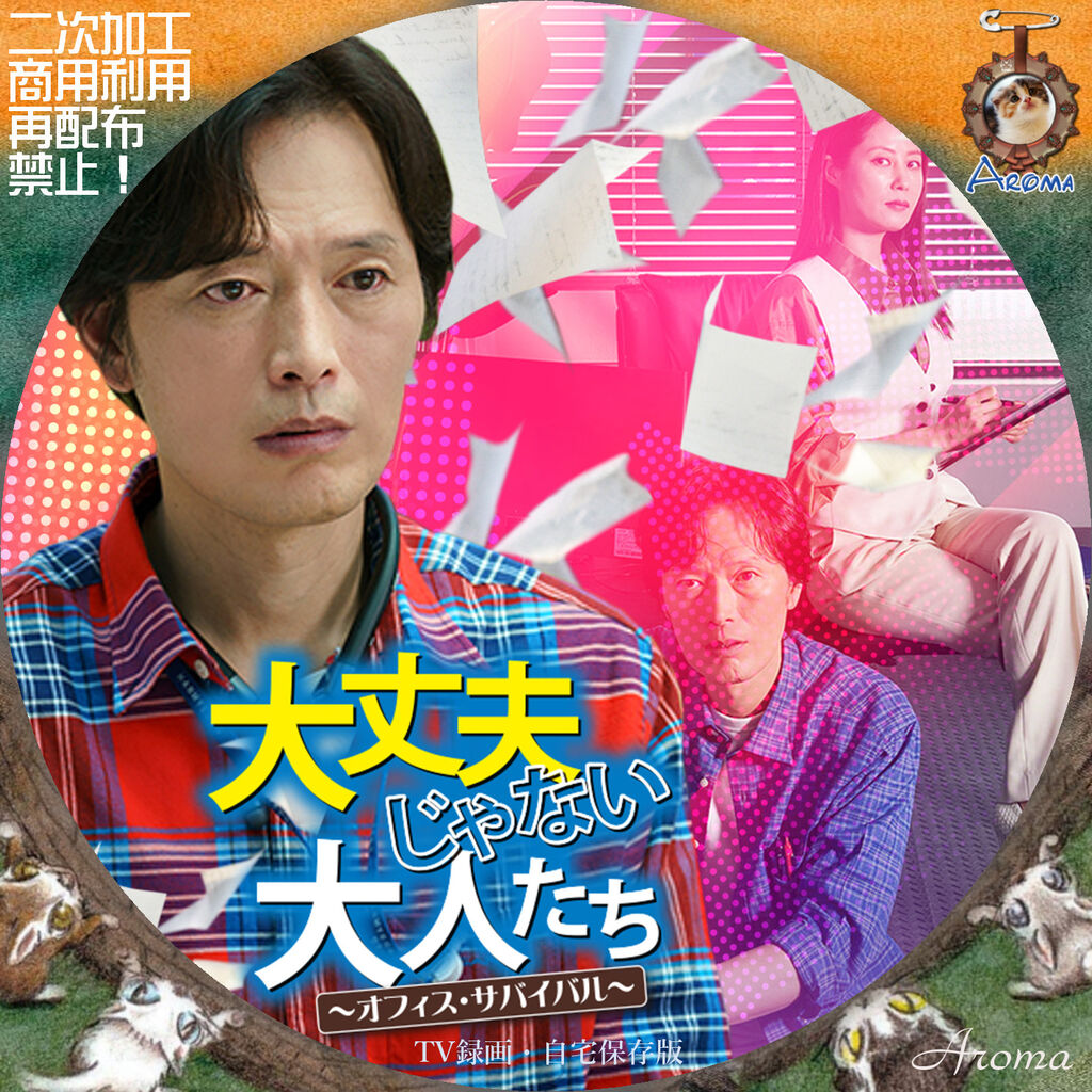 チョン・ジェヨン『大丈夫じゃない大人たち』レンタル落ちDVD★全巻 韓国ドラマ 大丈夫じゃない大人たち～オフィス・サバイバル