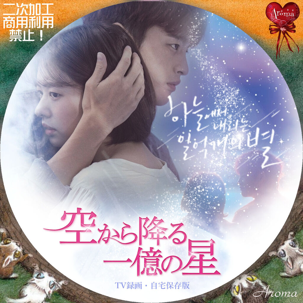 韓国ドラマ 空から降る一億の星 Aroma cafe ☕️ 韓国ドラマ 空から降る一億の星 Aroma cafe ☕️