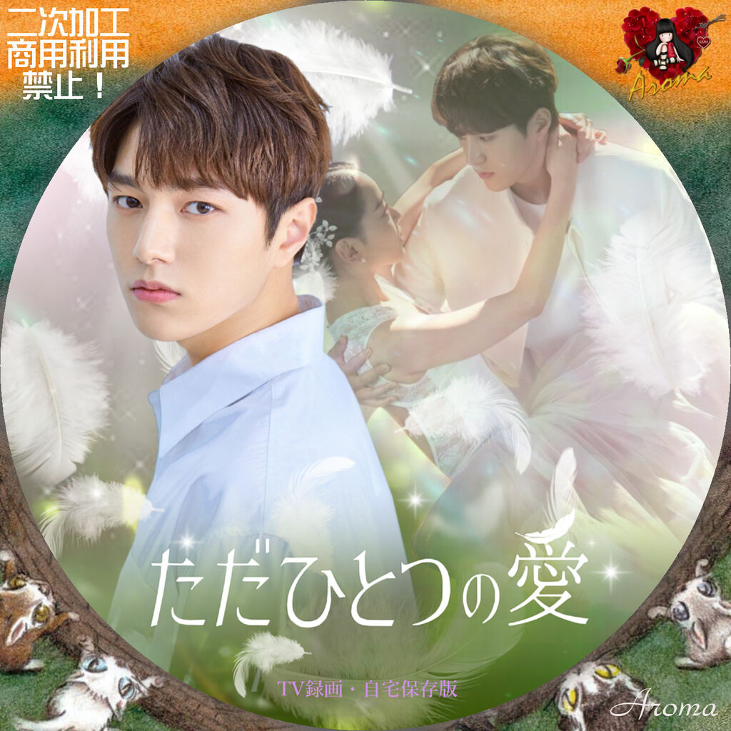 韓国ドラマ「ただひとつの愛」OST キムミュンス(エル) サントラ 韓国盤