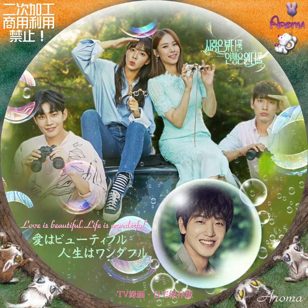 愛はビューティフル 人生はワンダフル Dvd Box5 Dvd