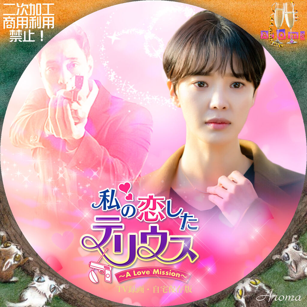 限定価格セール 私の恋したテリウス~A LOVE MISSION~ 韓国ドラマ DVD