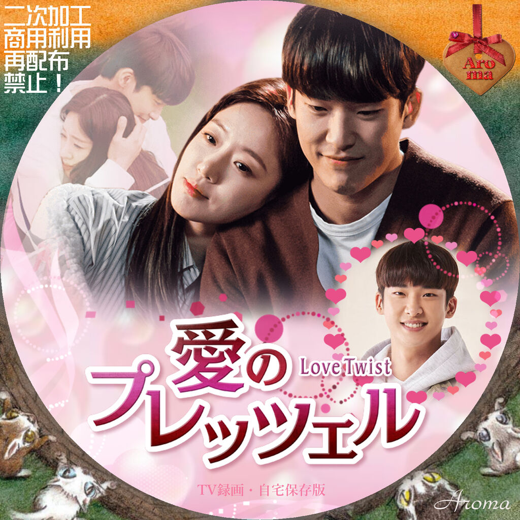 【韓国ドラマ】DVD『愛のプレッツェル』ウンジョン(T-ARA)/キム・ジニョプ ウンジョン（T-ARA）キム・ジニョプ『愛のプレッツェル』レンタル落ち