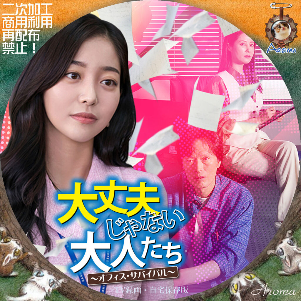チョン・ジェヨン『大丈夫じゃない大人たち』レンタル落ちDVD