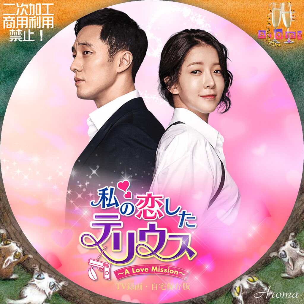 今月限定/特別大特価 私の恋したテリウス~A Love Mission~ DVD-BOX1.2