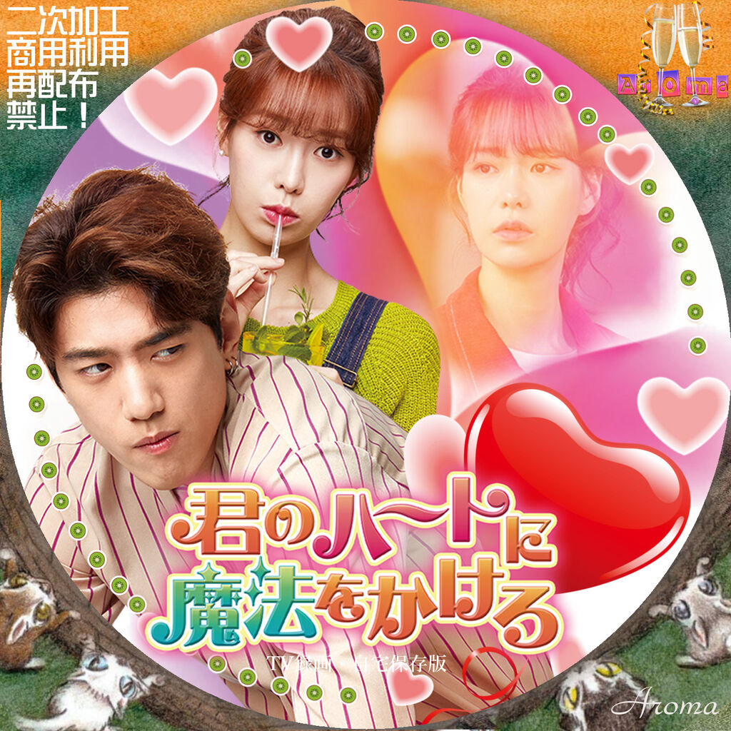 韓国ドラマ 君のハートに魔法をかけろ <レーベル & ジャケット