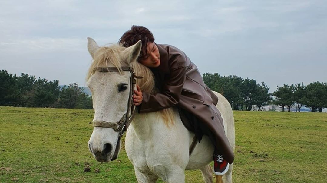 イ ジュンギ これがまさに白馬の王子さま プロ級の乗馬の腕前 動画あり 恋する干しぶどう Z 新館 イ ジュンギ これがまさに白馬の王子さま プロ級の乗馬の腕前 動画あり 恋する干しぶどう Z 新館