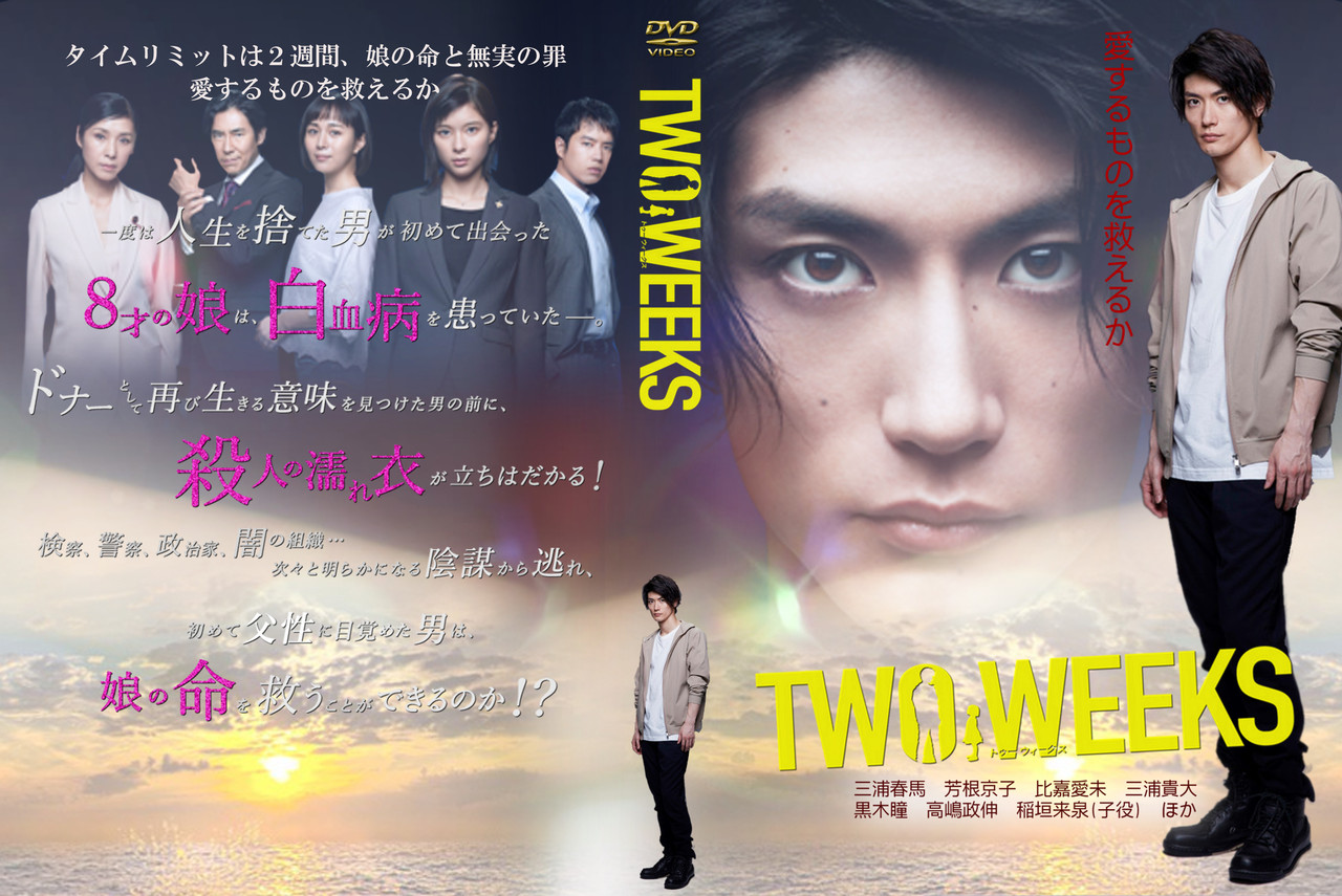 TWO WEEKS DVD-BOX 三浦春馬　比嘉愛未　芳根京子　稲垣来泉