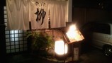 yanagi0