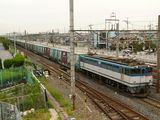 537a5a4c.JPG