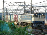 7890fbff.JPG