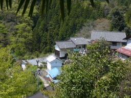 山里