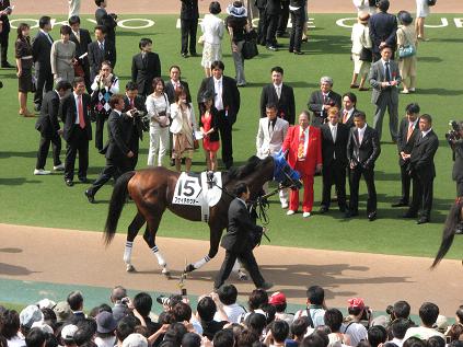 NO GUTS，NO GLORY． : 日本ダービー 写真付き特派員リポート・馬 ...