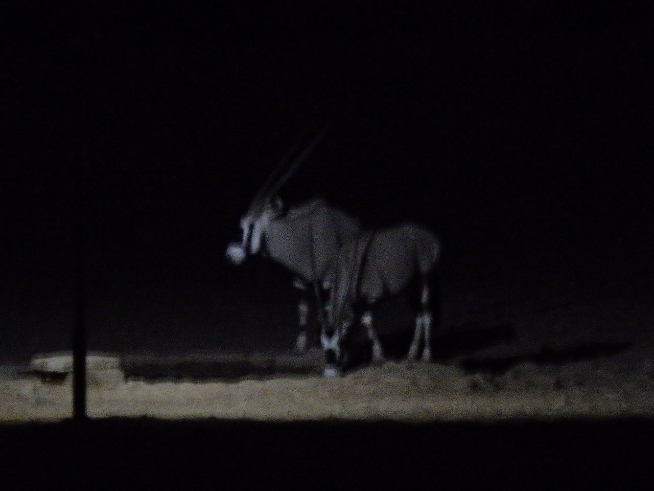 ナミブ砂漠の暮らしとブッシュマン ノマドアフリカアドベンチャーツアー５日目3 3 アフリカの旅 22 50 No Music No Life 音楽でつながろう