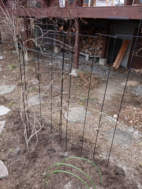 DSC04659
