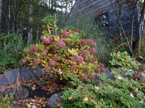 DSC00640