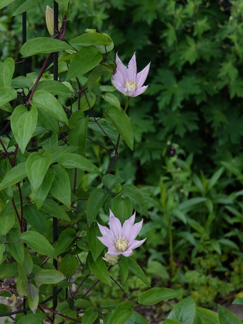 DSC01312