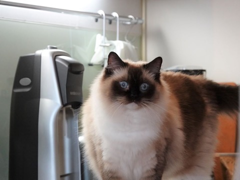 DSC04805
