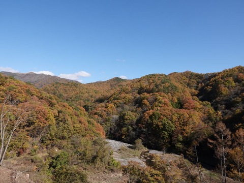 DSC04521