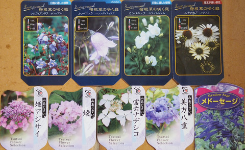 苗のタグP5230599