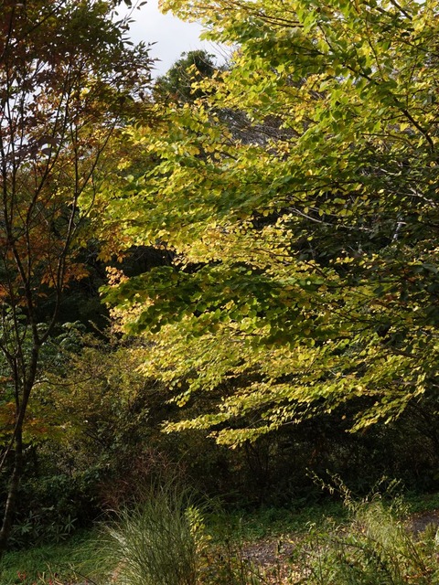 DSC00612