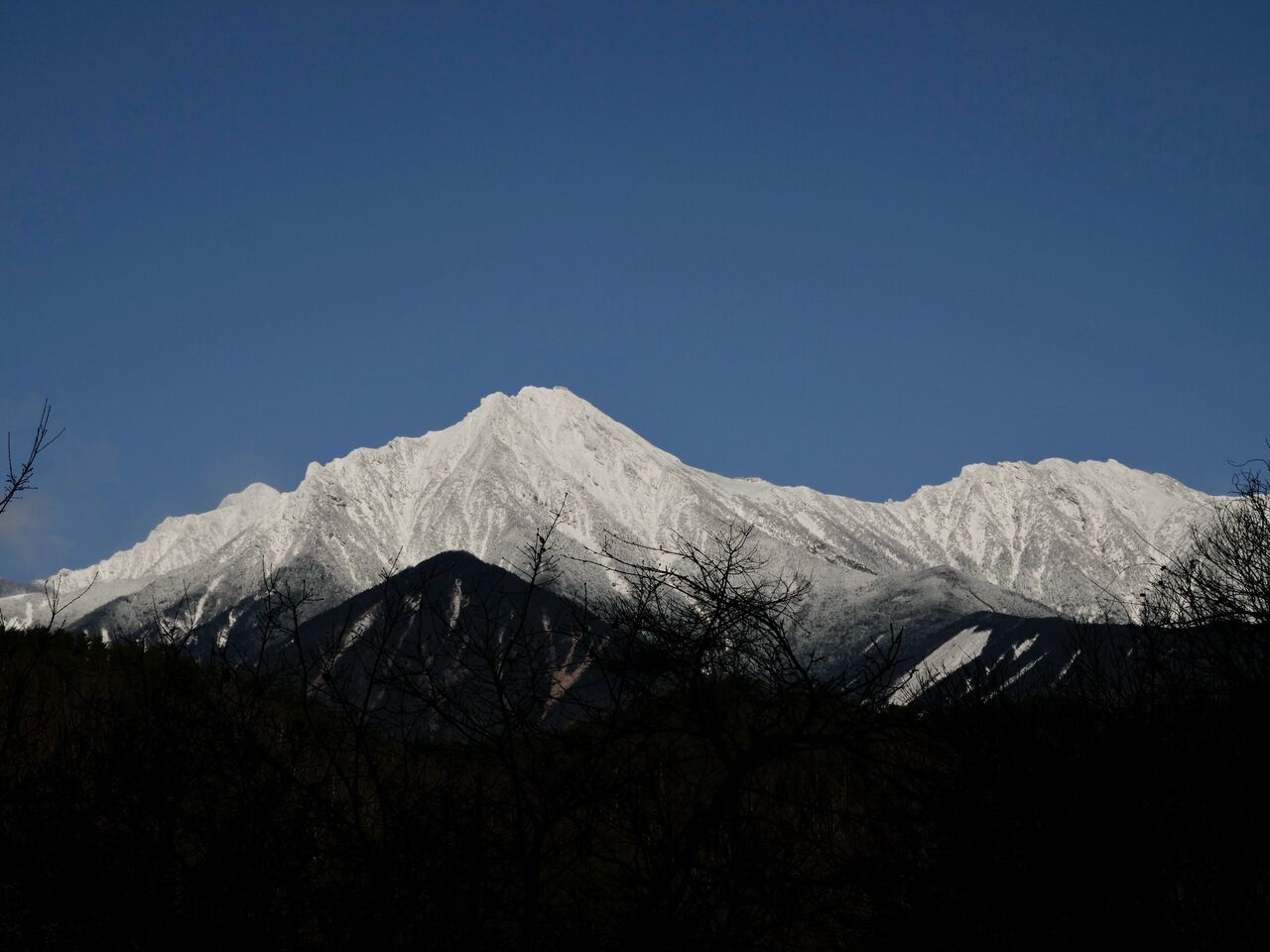 八ヶ岳ブルーの空に輝く雪の八ヶ岳 And 猫日記 ベルと高原の家