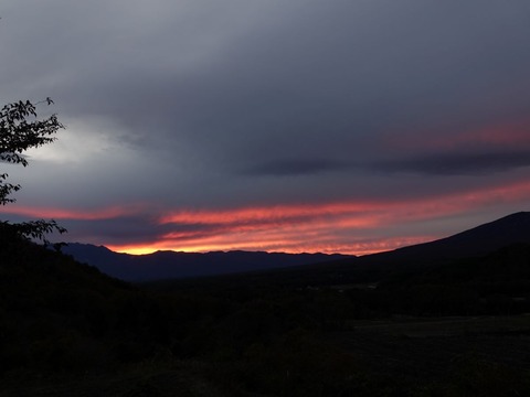 DSC04304