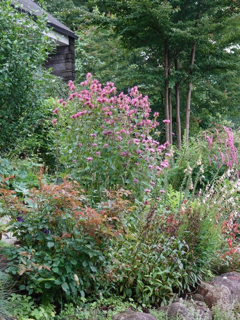 DSC06238