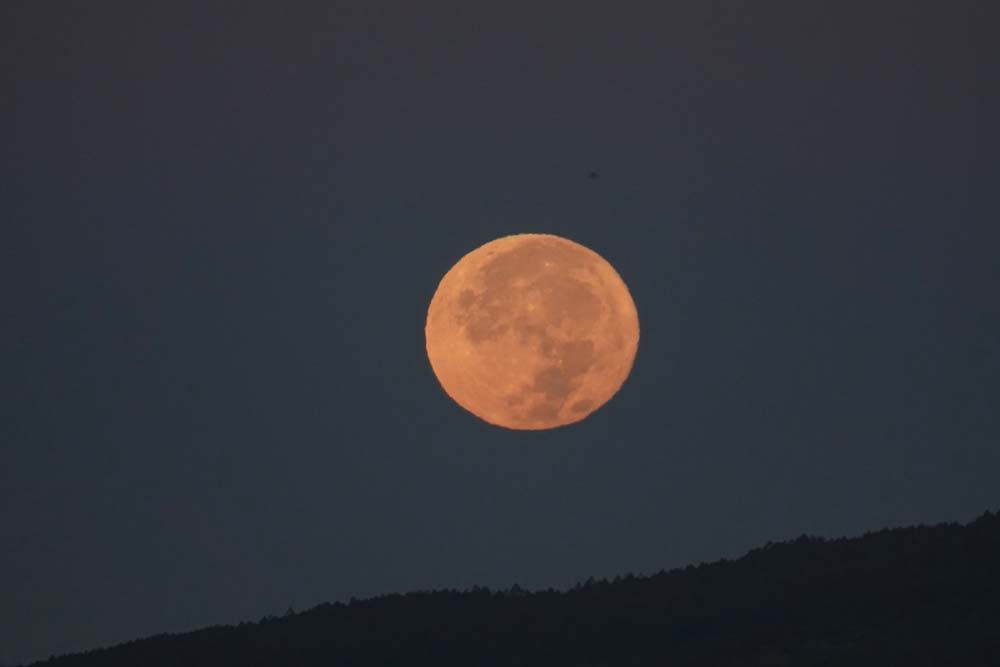 満月 八ヶ岳紅葉通信 その２ And ラグドール猫日記 ベルと高原の家