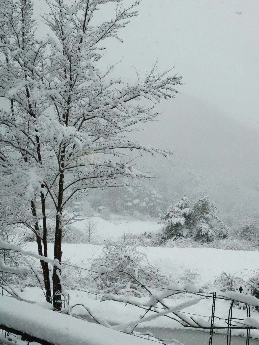 名残りの雪になるかな And ラグドール猫日記 ベルと高原の家 名残りの雪になるかな And ラグドール猫日記 ベルと高原の家
