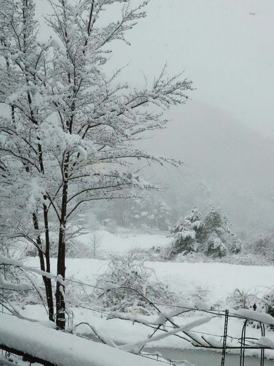 名残りの雪になるかな And ラグドール猫日記 ベルと高原の家